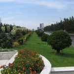 کاشت ١٠٠ اصله درختچه در محوطه پایانه مرز خسروی