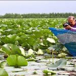 اهمیت سراب نیلوفر کرمانشاه