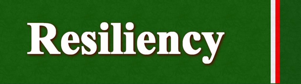 تاب آوری روستایی چیست ؟