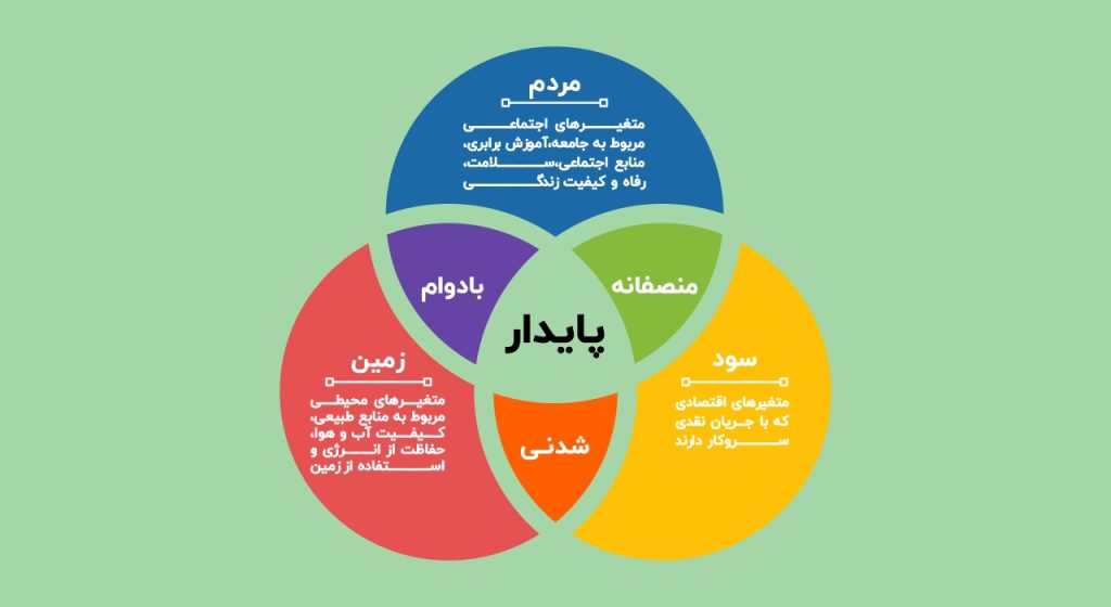 سواد زیست‌محیطی چگونه به توسعه پایدار و تاب آوری کمک میکند؟