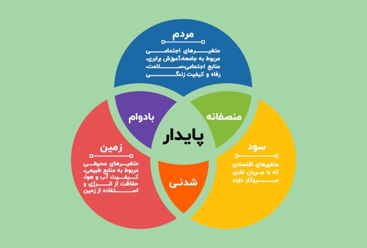 سواد زیست‌محیطی چگونه به توسعه پایدار و تاب آوری کمک میکند؟