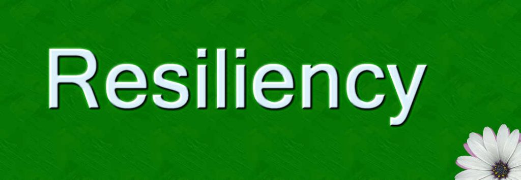 همبستگی بین‌نسلی، رفاه پایدار و تاب‌آوری جوامع