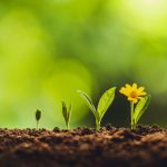 تاب آوری و کفایت تحصیلی