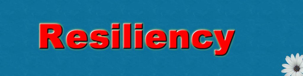 پرورش تابآوری در مددکاری اجتماعی