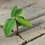 اخلاق حرفه‌ای در مددکاری اجتماعی