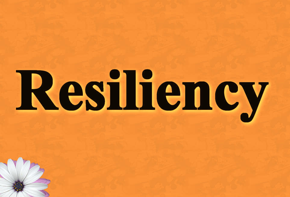 تاب آوری خبرنگاران