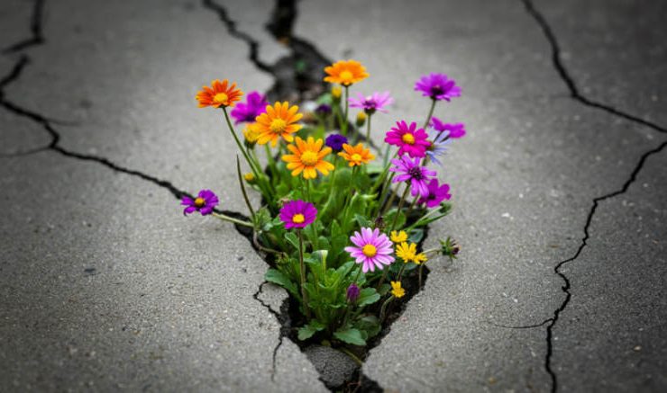 تاب آوری اقتصادی