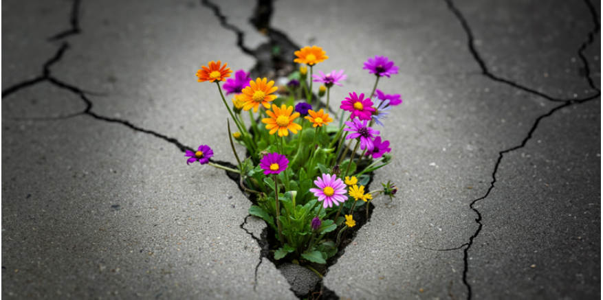 تاب آوری و امنیت اجتماعی