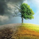 آموزش محیط‌زیست؛ پلی به سوی تاب‌آوری و پیشرفت پایدار