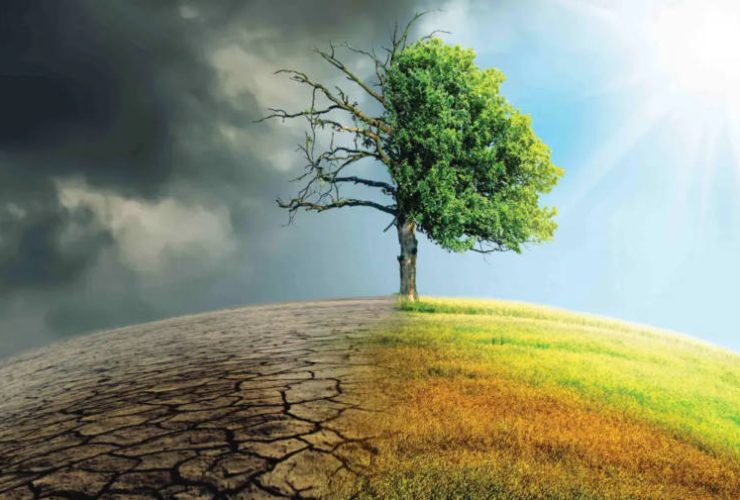 نقش عدالت در تابآوری اجتماعی و هویت فرهنگی