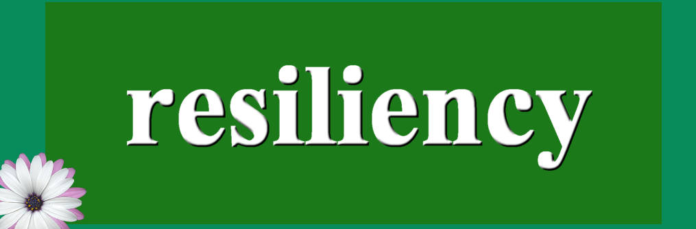 تاب آوری ملی چیست ؟