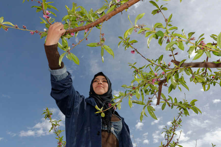 زنان ظرفیت پنهان تاب‌آوری و مدیران غیررسمی بحران
