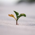 ساخت تاب‌آوری برند