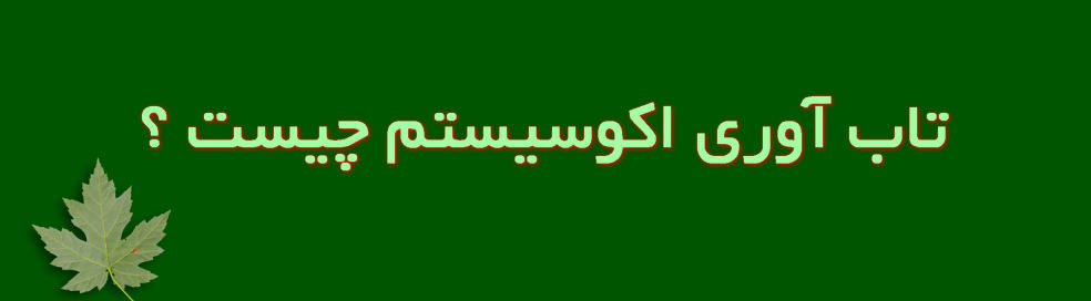 تابآوری اکوسیستم