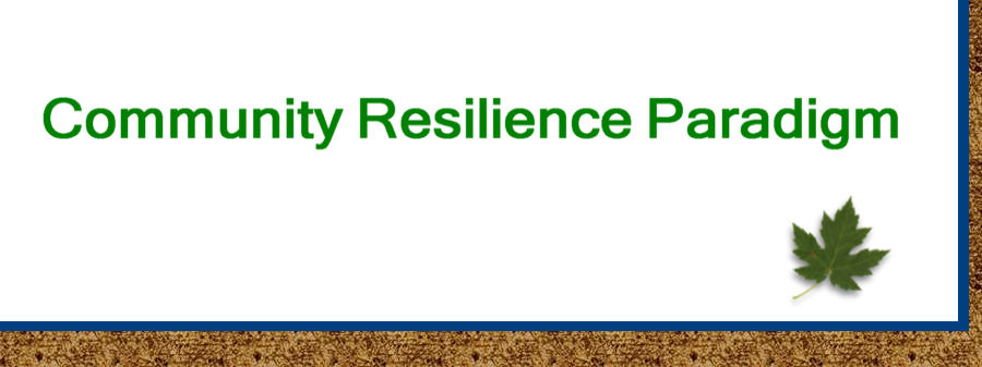 پارادایم تاب‌آوری اجتماعی