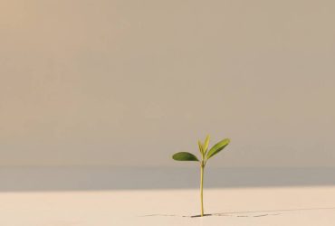 نقش سازمان بهزیستی در پیشگیری از اعتیاد؛ راهکارهای نوین و علمی
