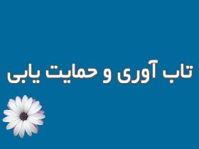 تاب‌آوری و حمایت‌یابی